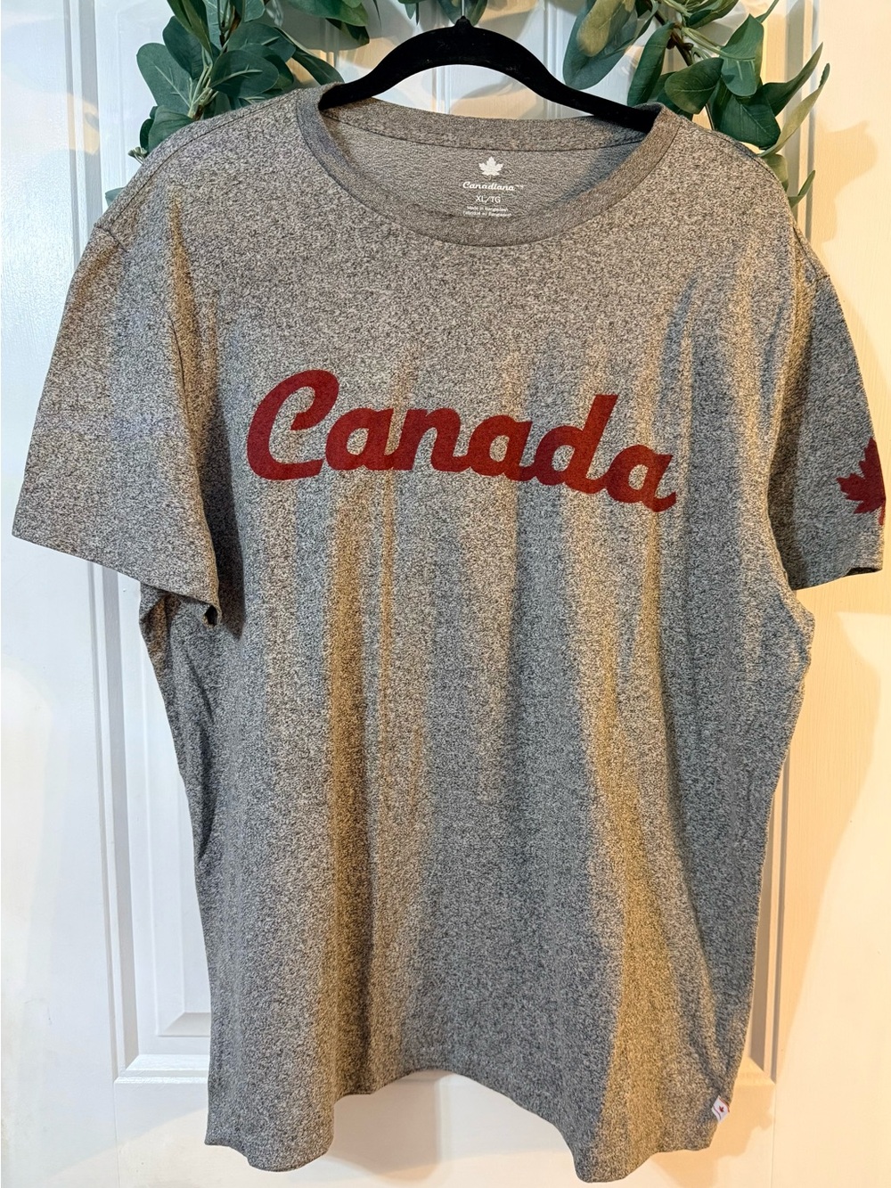 💫4/$25 • Canadiana Canada Grey Men's Crew Neck T‑Shirt with Red Script